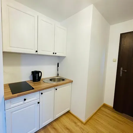 아파트 U Ptaszka 자코파네