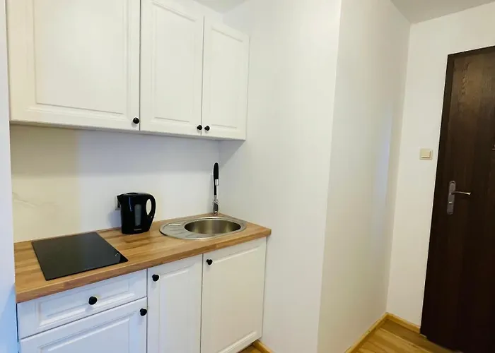 Lejlighed U Ptaszka Zakopane